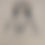 Thumbnail: Menashe Kadishman, Sheep head, Circle crown, Acrylic on canvas
