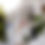Thumbnail: 4th of July Balloons Set of 3